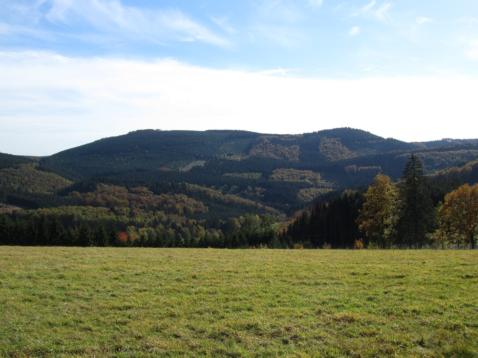 Leckortung 2325 Himberg